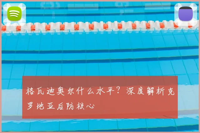 格瓦迪奥尔什么水平？深度解析克罗地亚后防核心