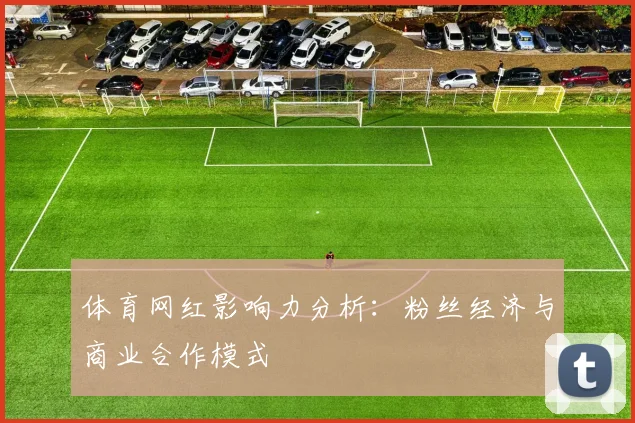 体育网红影响力分析:粉丝经济与商业合作模式